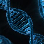 dna-163466_1280-600×315-cropped