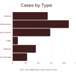 Cases-by-type-1