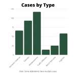 Cases-by-Type-2